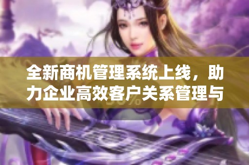 全新商机管理系统上线，助力企业高效客户关系管理与销售业绩提升