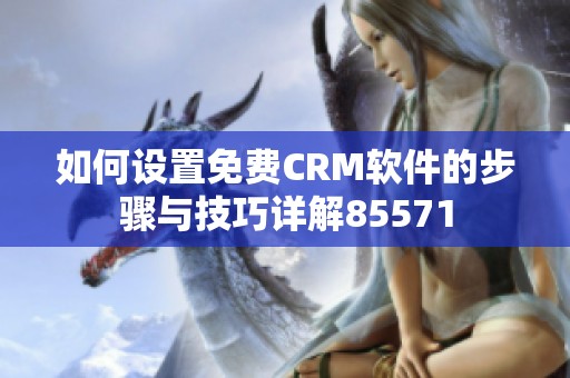 如何设置免费CRM软件的步骤与技巧详解85571