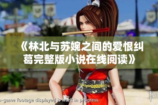 《林北与苏婉之间的爱恨纠葛完整版小说在线阅读》