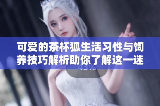 可爱的茶杯狐生活习性与饲养技巧解析助你了解这一迷人小宠物