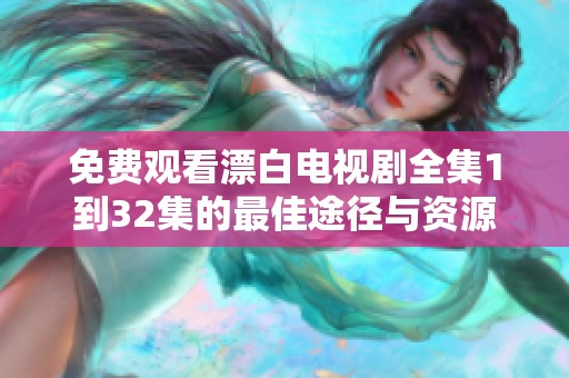 免费观看漂白电视剧全集1到32集的最佳途径与资源介绍
