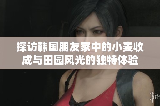 探访韩国朋友家中的小麦收成与田园风光的独特体验
