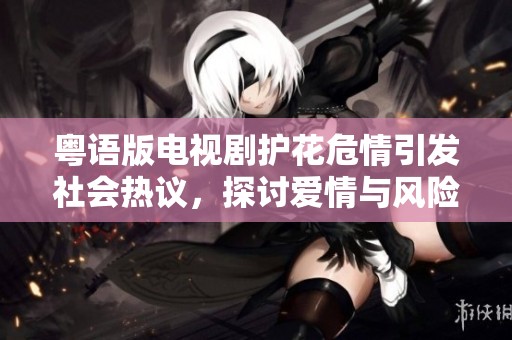 粤语版电视剧护花危情引发社会热议，探讨爱情与风险关系