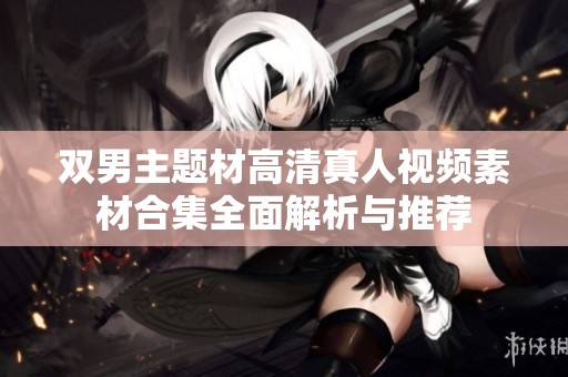 双男主题材高清真人视频素材合集全面解析与推荐