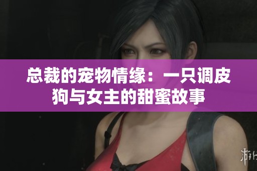 总裁的宠物情缘：一只调皮狗与女主的甜蜜故事