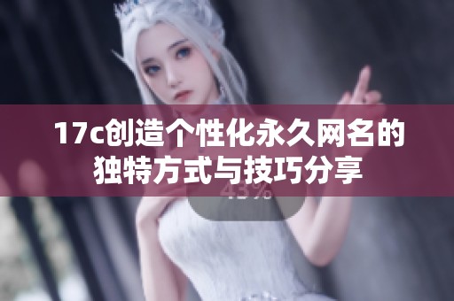 17c创造个性化永久网名的独特方式与技巧分享