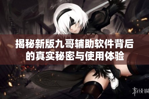 揭秘新版九哥辅助软件背后的真实秘密与使用体验