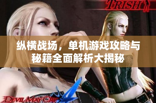 纵横战场，单机游戏攻略与秘籍全面解析大揭秘
