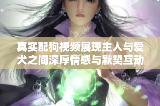 真实配狗视频展现主人与爱犬之间深厚情感与默契互动