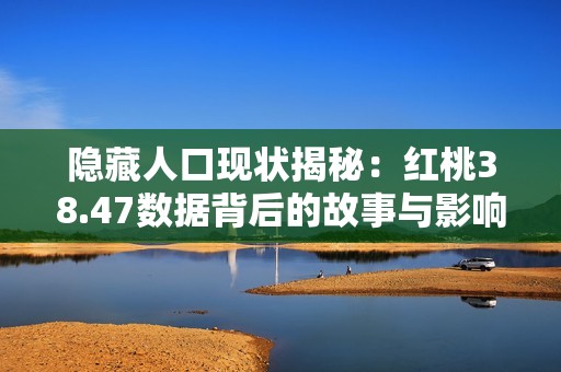 隐藏人口现状揭秘：红桃38.47数据背后的故事与影响分析