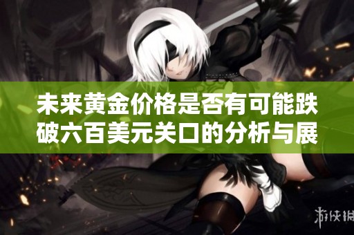 未来黄金价格是否有可能跌破六百美元关口的分析与展望