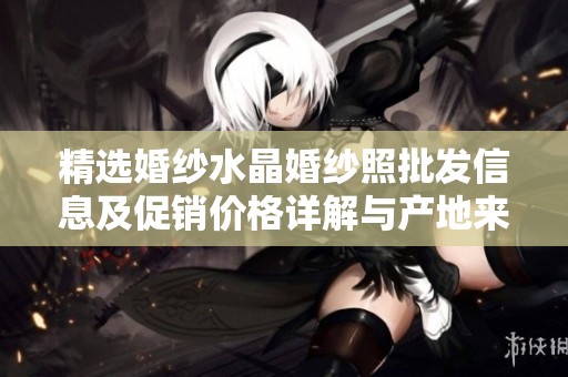 精选婚纱水晶婚纱照批发信息及促销价格详解与产地来源揭秘