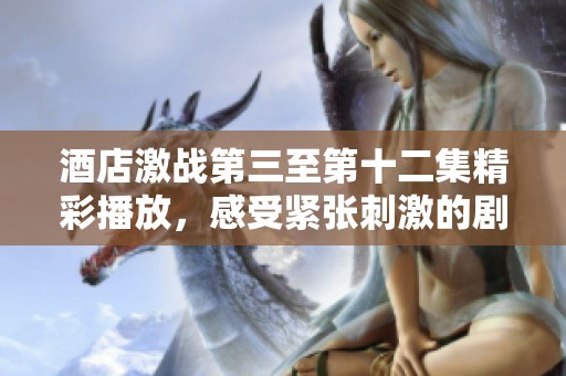 酒店激战第三至第十二集精彩播放，感受紧张刺激的剧情与冲突！