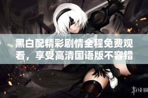 黑白配精彩剧情全程免费观看，享受高清国语版不容错过