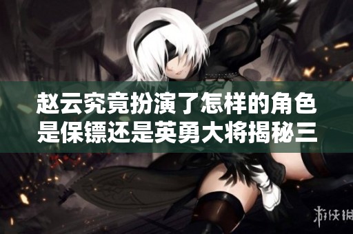 赵云究竟扮演了怎样的角色是保镖还是英勇大将揭秘三国志中的英雄人物