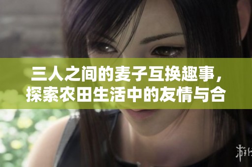 三人之间的麦子互换趣事，探索农田生活中的友情与合作