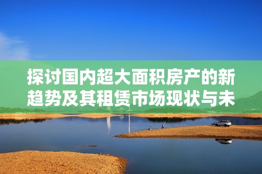 探讨国内超大面积房产的新趋势及其租赁市场现状与未来发展方向