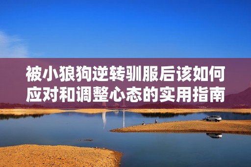 被小狼狗逆转驯服后该如何应对和调整心态的实用指南