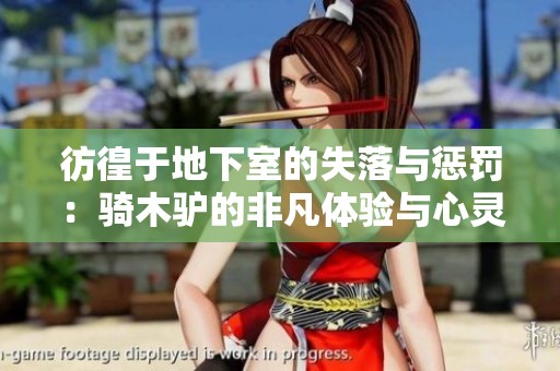 彷徨于地下室的失落与惩罚：骑木驴的非凡体验与心灵救赎