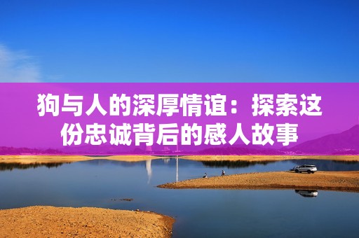 狗与人的深厚情谊：探索这份忠诚背后的感人故事