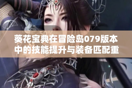 葵花宝典在冒险岛079版本中的技能提升与装备匹配重要性解析