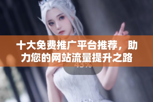 十大免费推广平台推荐，助力您的网站流量提升之路