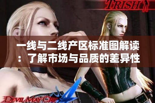 一线与二线产区标准图解读：了解市场与品质的差异性分析