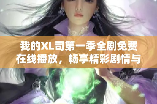 我的XL司第一季全剧免费在线播放，畅享精彩剧情与搞笑瞬间