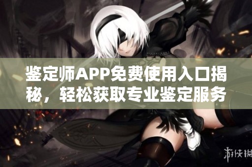 鉴定师APP免费使用入口揭秘，轻松获取专业鉴定服务指南