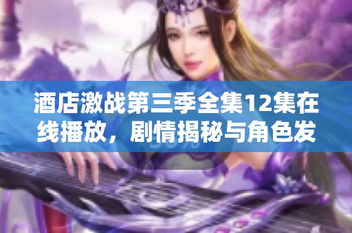 酒店激战第三季全集12集在线播放，剧情揭秘与角色发展一览无遗
