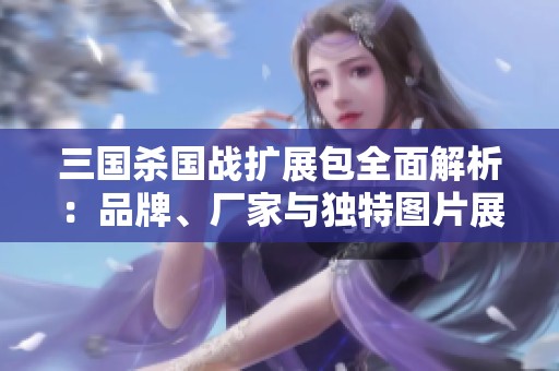 三国杀国战扩展包全面解析：品牌、厂家与独特图片展示