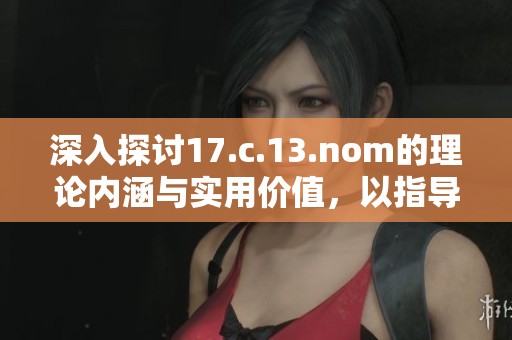 深入探讨17.c.13.nom的理论内涵与实用价值，以指导相关领域研究发展