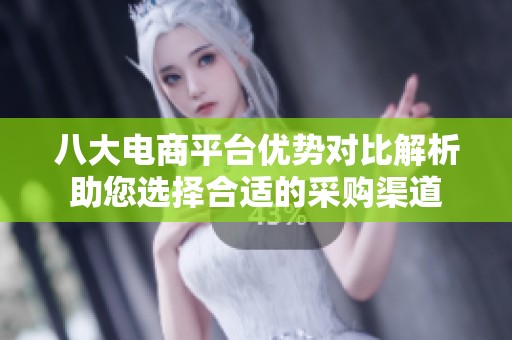 八大电商平台优势对比解析助您选择合适的采购渠道