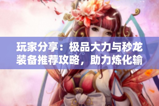 玩家分享：极品大力与秒龙装备推荐攻略，助力炼化输出与战斗力提升