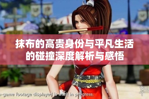 抹布的高贵身份与平凡生活的碰撞深度解析与感悟