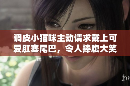 调皮小猫咪主动请求戴上可爱肛塞尾巴，令人捧腹大笑的故事