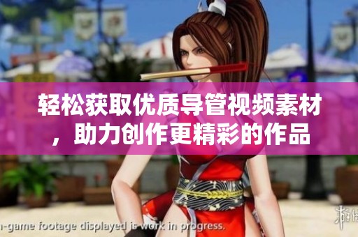 轻松获取优质导管视频素材，助力创作更精彩的作品
