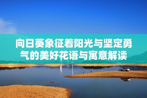 向日葵象征着阳光与坚定勇气的美好花语与寓意解读