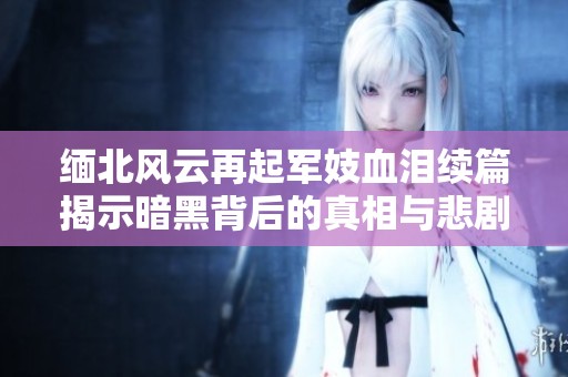 缅北风云再起军妓血泪续篇揭示暗黑背后的真相与悲剧