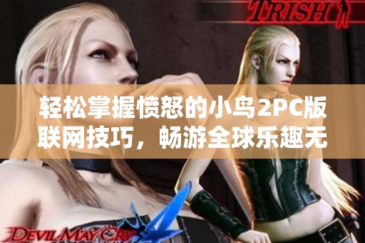 轻松掌握愤怒的小鸟2PC版联网技巧，畅游全球乐趣无穷！