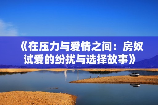 《在压力与爱情之间：房奴试爱的纷扰与选择故事》