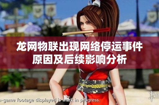 龙网物联出现网络停运事件原因及后续影响分析