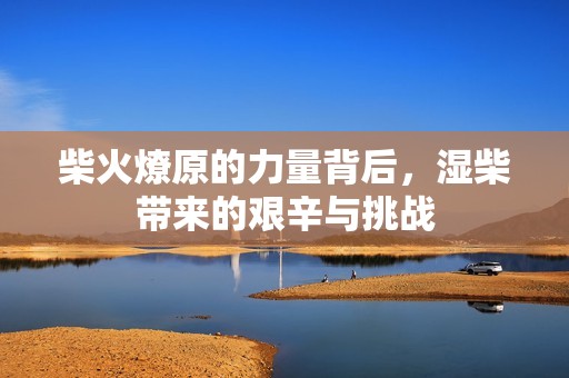 柴火燎原的力量背后，湿柴带来的艰辛与挑战