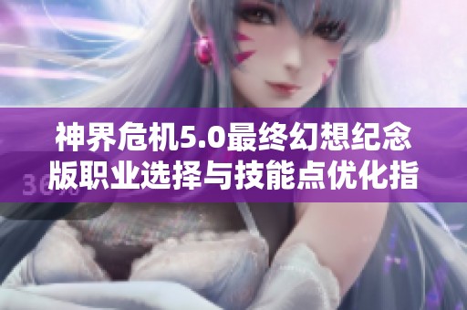 神界危机5.0最终幻想纪念版职业选择与技能点优化指南