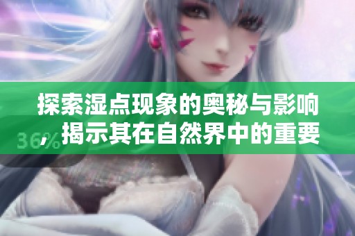 探索湿点现象的奥秘与影响，揭示其在自然界中的重要性与应用价值