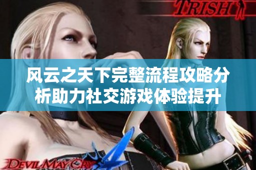 风云之天下完整流程攻略分析助力社交游戏体验提升