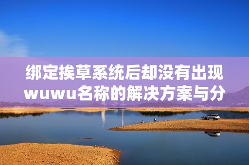 绑定挨草系统后却没有出现wuwu名称的解决方案与分析