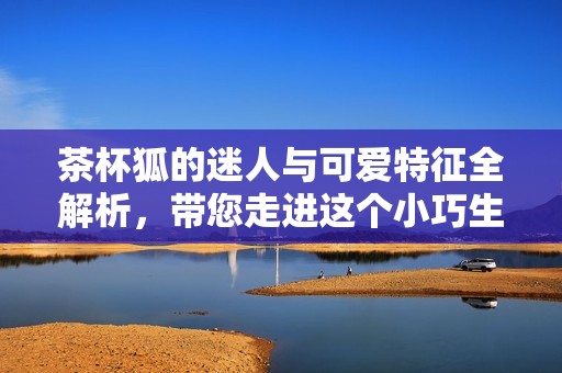 茶杯狐的迷人与可爱特征全解析，带您走进这个小巧生物的世界