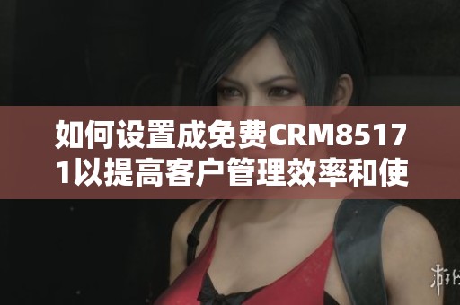 如何设置成免费CRM85171以提高客户管理效率和使用体验