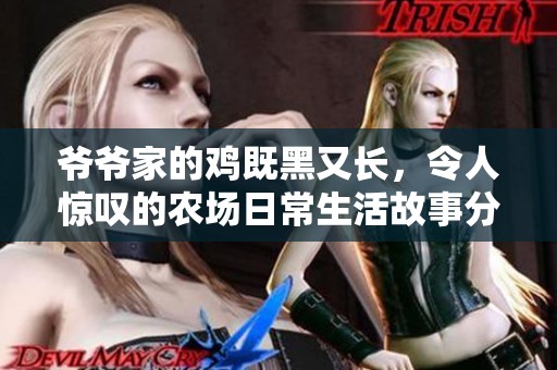 爷爷家的鸡既黑又长，令人惊叹的农场日常生活故事分享
